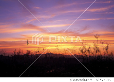 Danyang-gun, Chungbuk 31574979