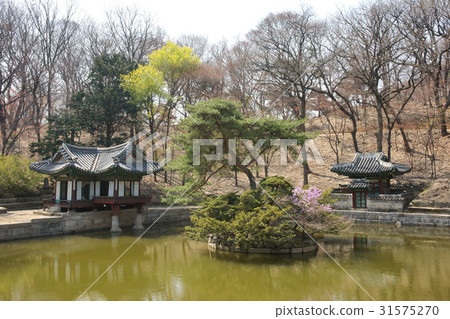 Buyeongjeong (Treasure No. 1763), Biwon, Changdeokgung Palace (Historic Site No. 122), Jongno-gu, Seoul Buyeongjeong (Treasure No. 1763), Biwon, Changdeokgung Palace (Historic Site No. 122), Jongno-gu, Seoul 31575270