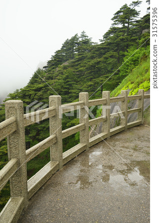 中國安徽省黃山市 31575396