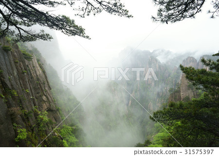 中國安徽省黃山市 31575397