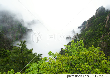 中國安徽省黃山市 中國安徽省黃山市 31575402