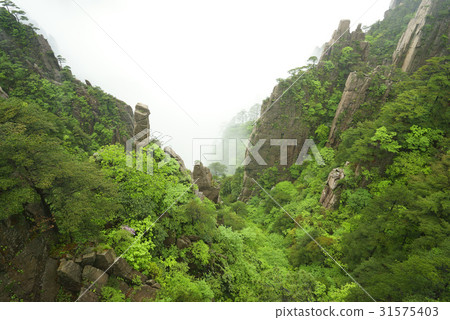 中國安徽省黃山市 中國安徽省黃山市 31575403