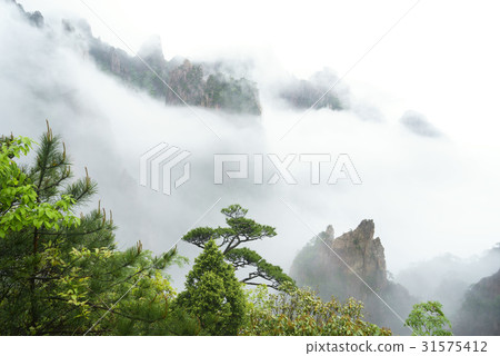 Huangshan, Anhui Province, China 31575412