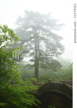 中國安徽省黃山市 中國安徽省黃山市 31575421