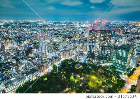 東京的夜景 東京的夜景 31575534