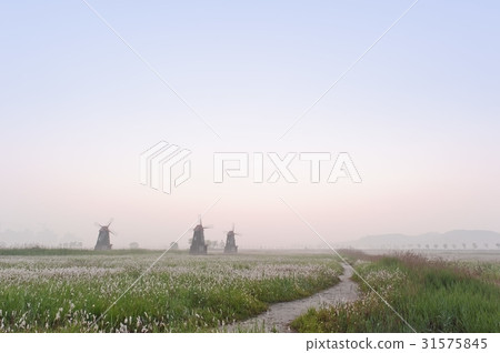 仁川南洞區索拉濕地生態公園 31575845