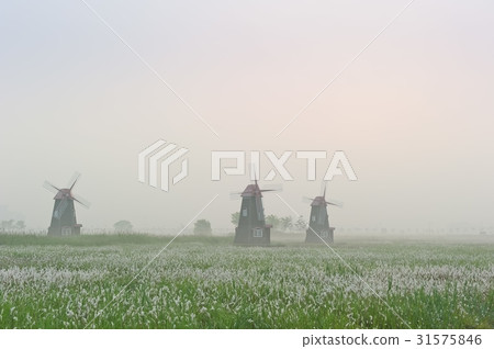 仁川南洞區索拉濕地生態公園 31575846