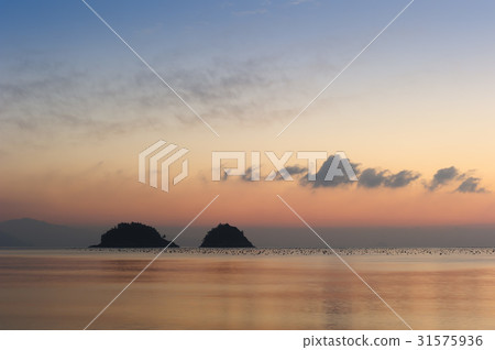 Jukdo,Blood,Yeosu,Jeonnam Jukdo,Blood,Yeosu,Jeonnam 31575936