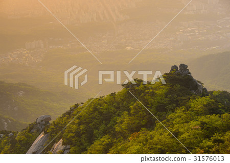 Mangyongdae，Bukhan，Goyang，Gyeonggi-do 31576013