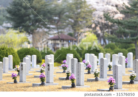 Seoul, Korea 31576050
