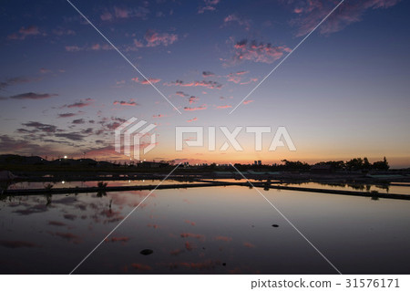 京畿道始興市始興潮汐生態園Yuljeon 31576171