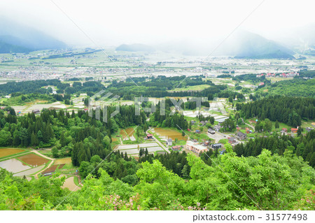 From the Uonuma skyline rice terrace in Kumakubo From the Uonuma skyline rice terrace in Kumakubo 31577498