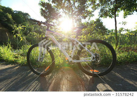 mountain bike on sunrise forest trail mountain bike on sunrise forest trail 31578242