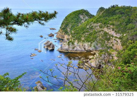 Urawumi Coast Sanin的Matsushima Kamogoseo 31579325