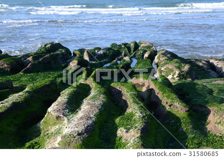 老梅石槽 31580685