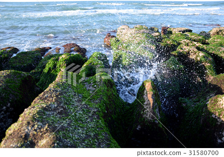 老梅石槽 31580700