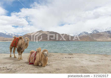 卡拉庫里湖 31582017