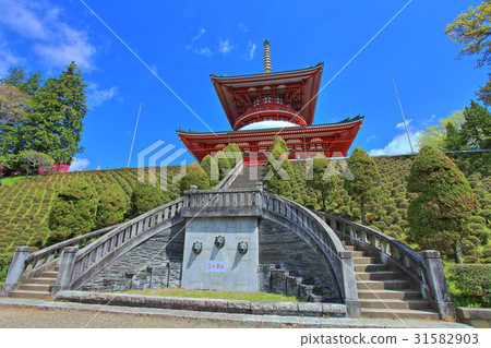 Naritasan Shinshoji Temple of Peace 31582903