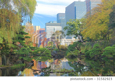 Hibiya Park Shinjuku autumn leaves and Marunouchi skyscraper 31582923