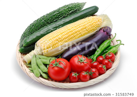 Summer vegetable 31583749