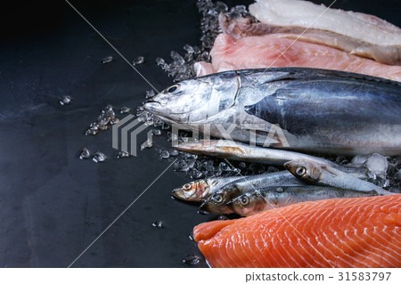 Vatiery of raw fresh fish 31583797