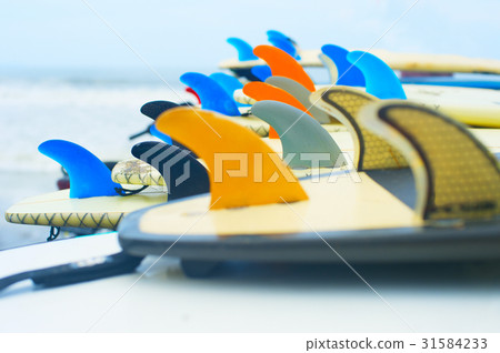 Surf boards and fins up 31584233