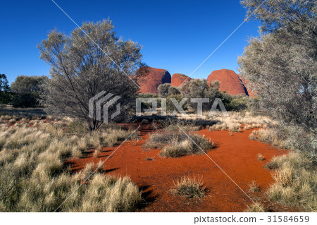 Australia Landscape : Red rock of Alice Sping 31584659