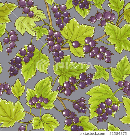 black currant  vector pattern 31584875