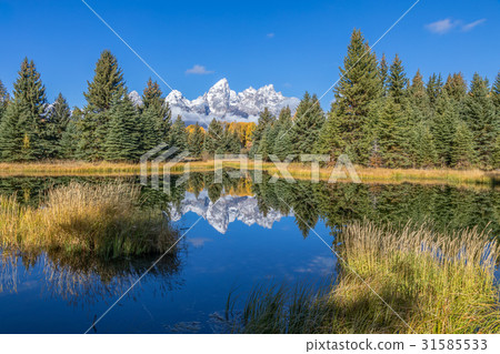Scenic Teton Fall Reflection 31585533