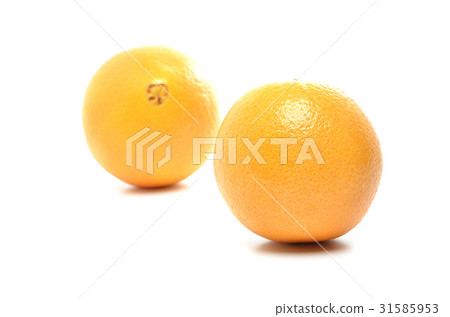 Navel Orange 31585953