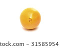 臍橙 31585954
