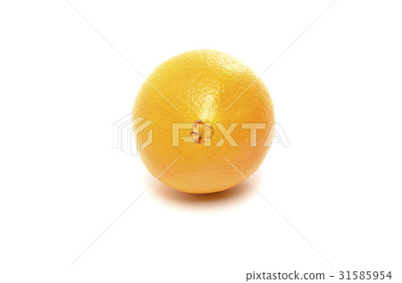 Navel Orange Navel Orange 31585954