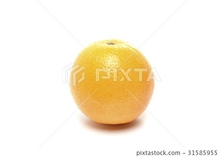 Navel Orange Navel Orange 31585955