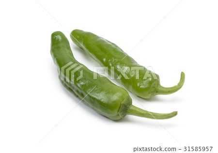 青椒 31585957