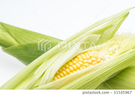Corn Corn 31585967
