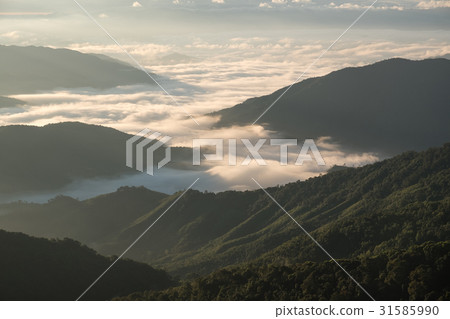 Sea of clouds view on Doi Phu Kha in morning Sea of clouds view on Doi Phu Kha in morning 31585990