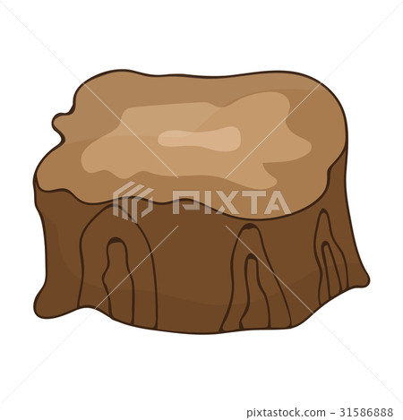 tree stump isolated on white background 31586888
