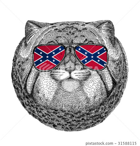 Wild cat Manul wearing glasses with National flag 31588115