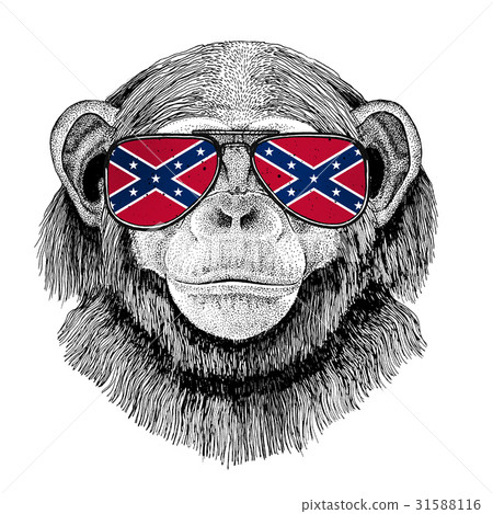 Chimpanzee Monkey wearing glasses with National-插圖素材 [31588116] - PIXTA圖庫