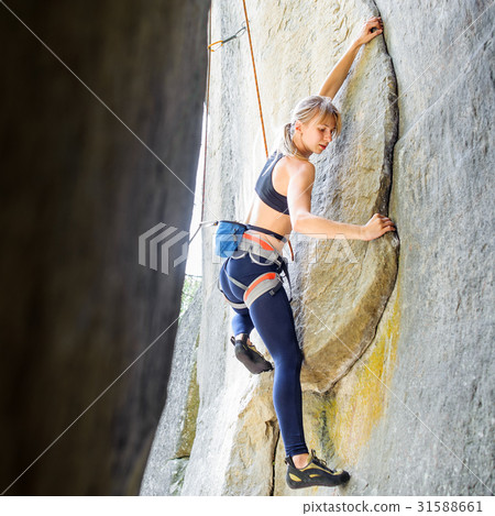 Female climber climbing with rope on a rocky wall Female climber climbing with rope on a rocky wall 31588661