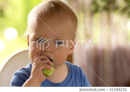 Serious blue-eyed infant kid eating cucumber Serious blue-eyed infant kid eating cucumber 31589232