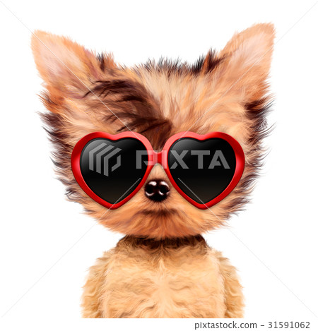 Funny adorable doggy girl with love sunglasses Funny adorable doggy girl with love sunglasses 31591062