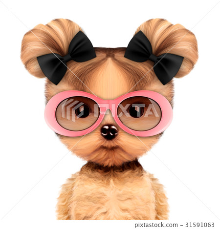 Funny adorable doggy girl with stylish sunglasses Funny adorable doggy girl with stylish sunglasses 31591063