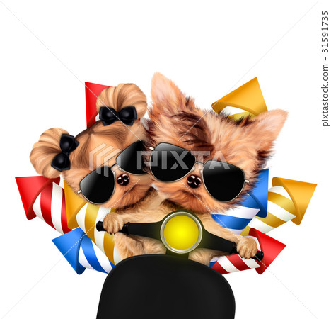 Couple of dogs carry firework rockets 31591735