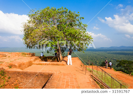 Sigiriya Rock, Sri Lanka Sigiriya Rock, Sri Lanka 31591767