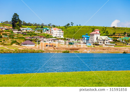 Lake Gregory, Nuwara Eliya 31591858