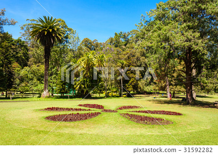 Victoria Park, Nuwara Eliya 31592282