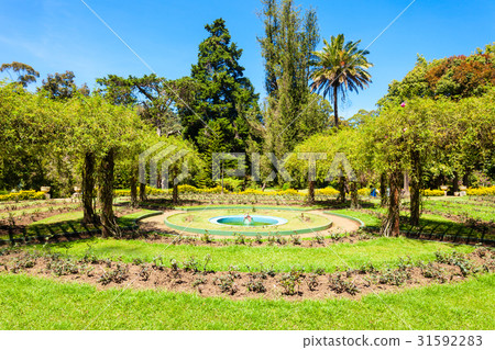 Victoria Park, Nuwara Eliya 31592283