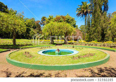 Victoria Park, Nuwara Eliya 31592285