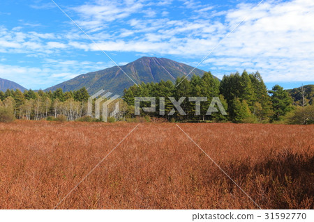 Early autumn Odashiro Kagahara grass autumn leaves and Mt. Early autumn Odashiro Kagahara grass autumn leaves and Mt. 31592770